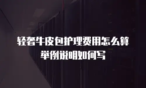 轻奢牛皮包护理费用怎么算举例说明如何写