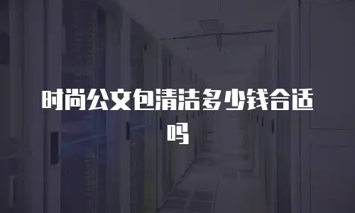 时尚公文包清洁多少钱合适吗