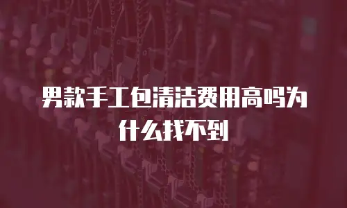 男款手工包清洁费用高吗为什么找不到