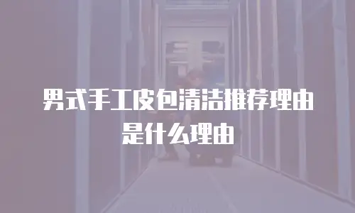男式手工皮包清洁推荐理由是什么理由