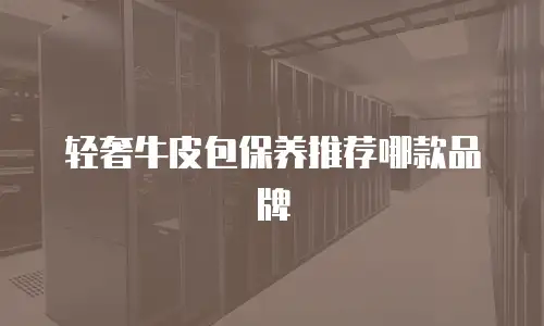 轻奢牛皮包保养推荐哪款品牌