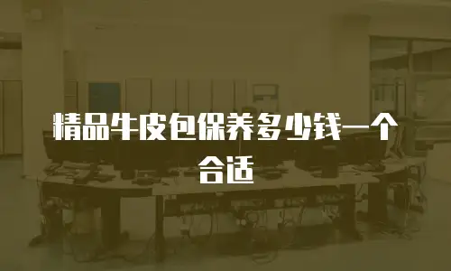 精品牛皮包保养多少钱一个合适