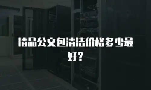 精品公文包清洁价格多少最好？