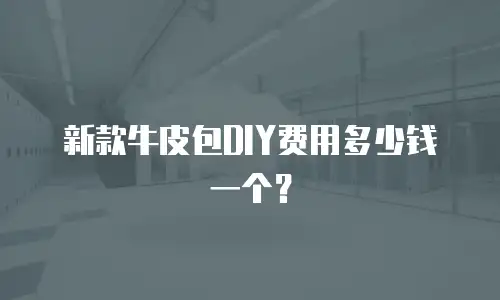新款牛皮包DIY费用多少钱一个？