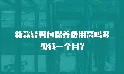新款轻奢包保养费用高吗多少钱一个月？