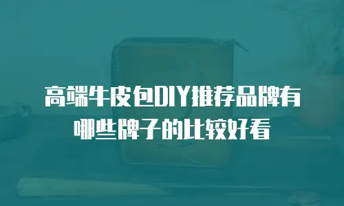 高端牛皮包DIY推荐品牌有哪些牌子的比较好看