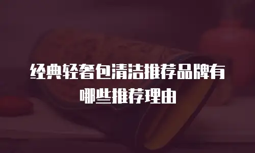 经典轻奢包清洁推荐品牌有哪些推荐理由