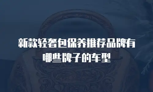 新款轻奢包保养推荐品牌有哪些牌子的车型