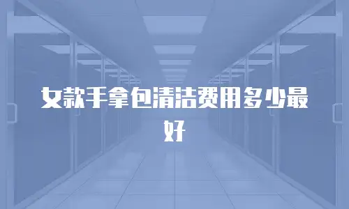 女款手拿包清洁费用多少最好
