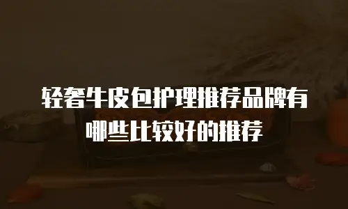 轻奢牛皮包护理推荐品牌有哪些比较好的推荐