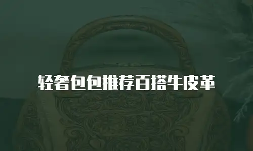轻奢包包推荐百搭牛皮革