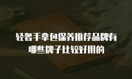 轻奢手拿包保养推荐品牌有哪些牌子比较好用的