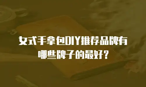 女式手拿包DIY推荐品牌有哪些牌子的最好？