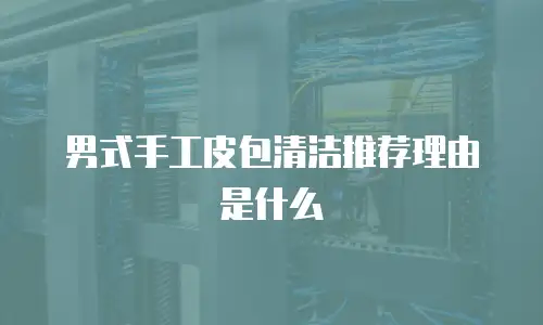 男式手工皮包清洁推荐理由是什么