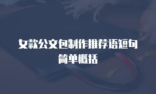女款公文包制作推荐语短句简单概括
