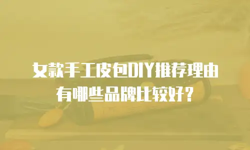 女款手工皮包DIY推荐理由有哪些品牌比较好？
