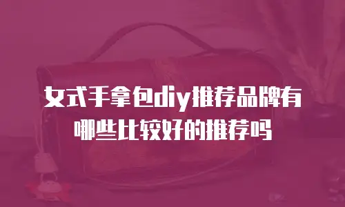女式手拿包diy推荐品牌有哪些比较好的推荐吗