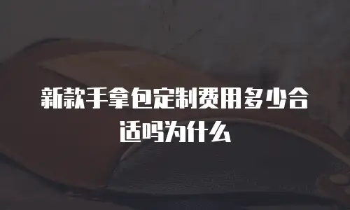 新款手拿包定制费用多少合适吗为什么
