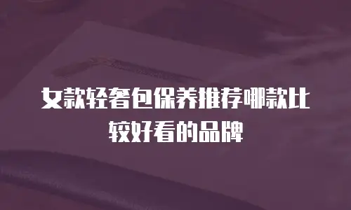 女款轻奢包保养推荐哪款比较好看的品牌