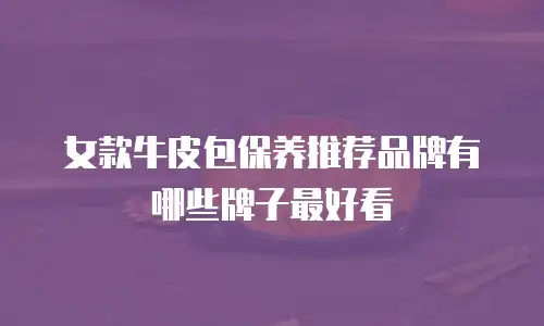 女款牛皮包保养推荐品牌有哪些牌子最好看