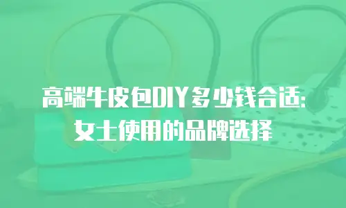 高端牛皮包DIY多少钱合适：女士使用的品牌选择