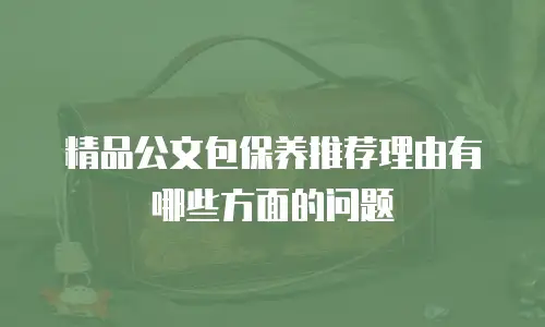 精品公文包保养推荐理由有哪些方面的问题