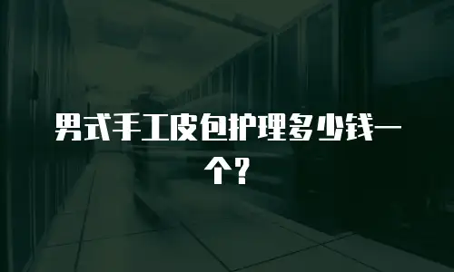 男式手工皮包护理多少钱一个？