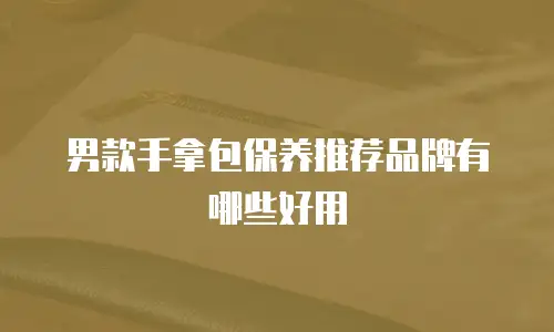 男款手拿包保养推荐品牌有哪些好用