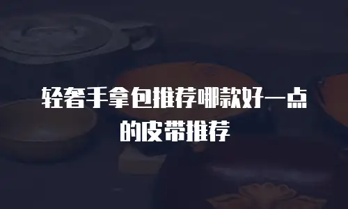轻奢手拿包推荐哪款好一点的皮带推荐