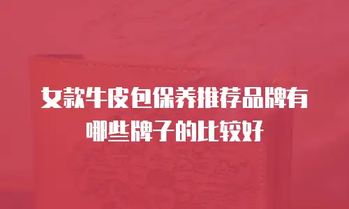 女款牛皮包保养推荐品牌有哪些牌子的比较好