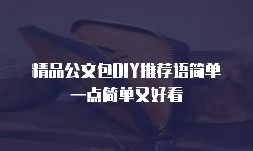 精品公文包DIY推荐语简单一点简单又好看