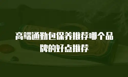 高端通勤包保养推荐哪个品牌的好点推荐