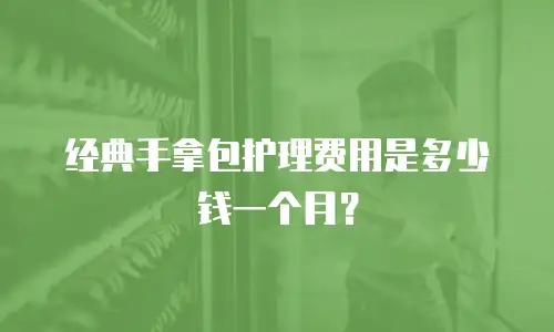 经典手拿包护理费用是多少钱一个月？