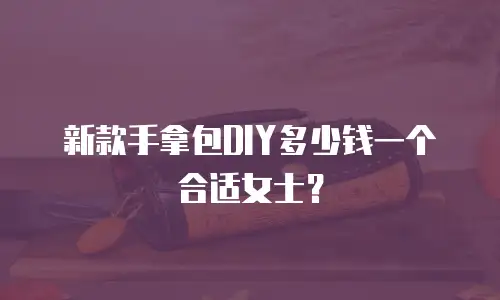 新款手拿包DIY多少钱一个合适女士？