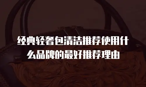 经典轻奢包清洁推荐使用什么品牌的最好推荐理由