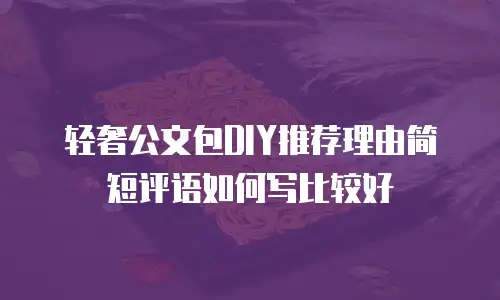 轻奢公文包DIY推荐理由简短评语如何写比较好