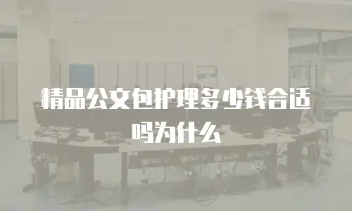 精品公文包护理多少钱合适吗为什么