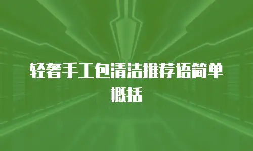轻奢手工包清洁推荐语简单概括