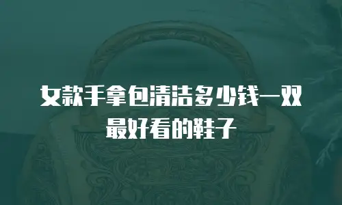 女款手拿包清洁多少钱一双最好看的鞋子