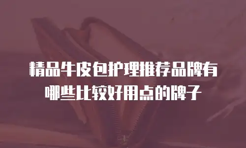 精品牛皮包护理推荐品牌有哪些比较好用点的牌子
