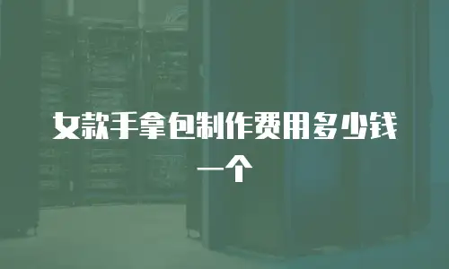 女款手拿包制作费用多少钱一个