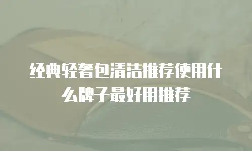 经典轻奢包清洁推荐使用什么牌子最好用推荐