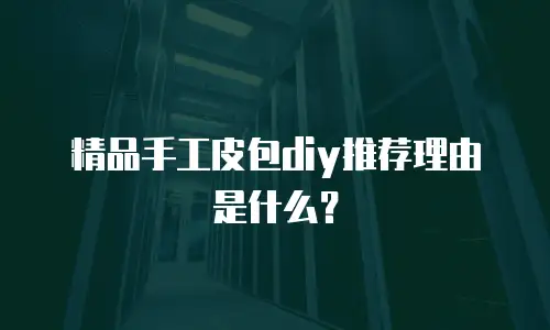 精品手工皮包diy推荐理由是什么？