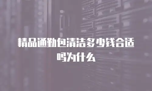 精品通勤包清洁多少钱合适吗为什么