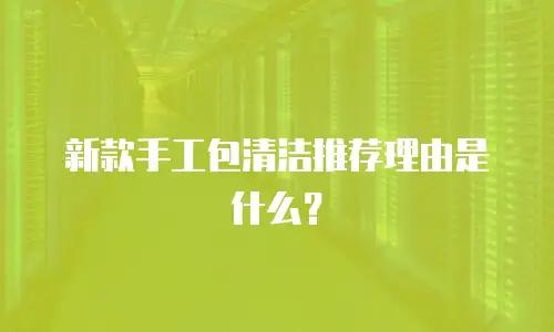 新款手工包清洁推荐理由是什么？