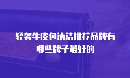 轻奢牛皮包清洁推荐品牌有哪些牌子最好的