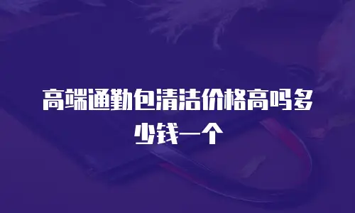 高端通勤包清洁价格高吗多少钱一个