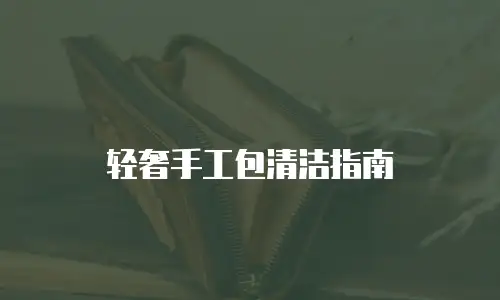 轻奢手工包清洁指南