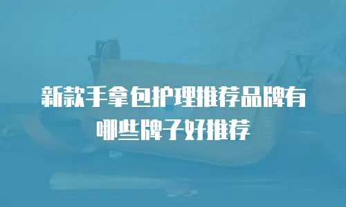 新款手拿包护理推荐品牌有哪些牌子好推荐