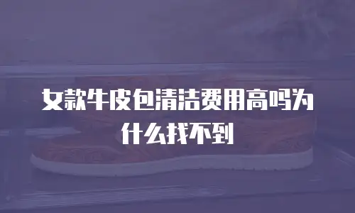 女款牛皮包清洁费用高吗为什么找不到